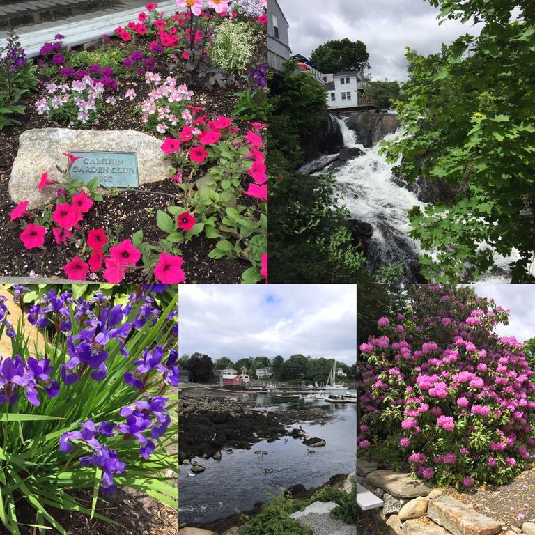 Camden Riverhouse Hotel And Inn Εξωτερικό φωτογραφία